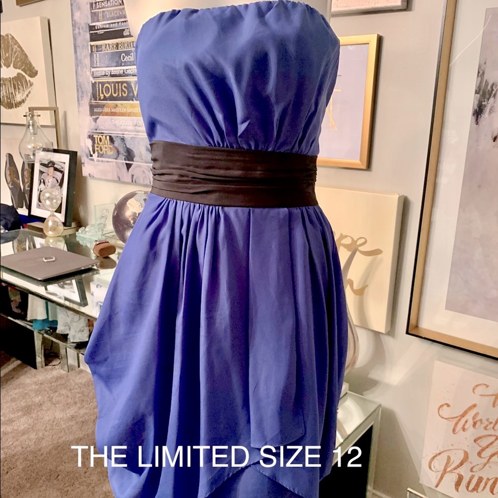 Periwinkle dress from The Limited